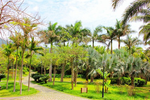 农安韩餐加盟店赚钱吗，农安县西餐厅