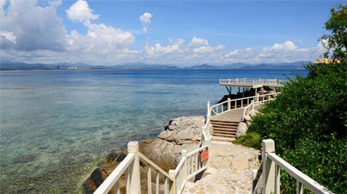 骆驼线上加盟费多少