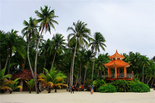 康保县洗碗液品牌加盟店哪家好