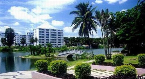 如何查看快手的缓存数据（如何查看快手的缓存数据视频）