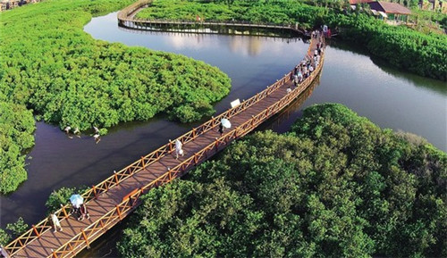 现炒的板栗怎么加热（炒熟了的板栗怎么加热）