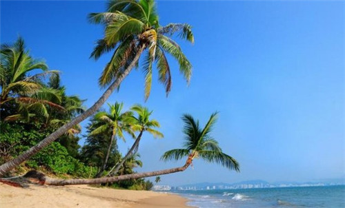 炒白菜豆角炒肉片的做法（炒白菜豆角炒肉片的做法窍门）