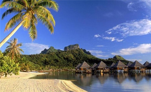 抖音梦想花园真实吗（梦想花园是真的可以提现吗）